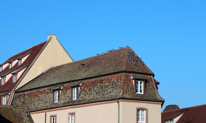 old building roof in historical center of Strasbourg - France