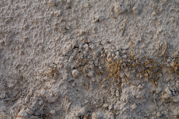 Dry fertile land with cracks under the hot sun.