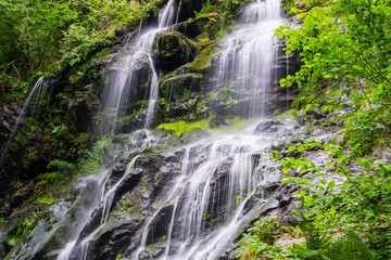 Germany, Zweribach waterfall near Simonswald in mystic black forest atmosphere