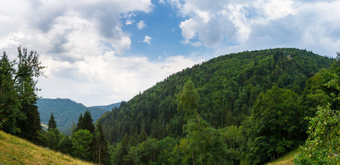 Fototapeta na wymiar Germany, Black forest hiking panorama near Simonswald in summer