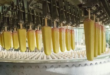 The conveyor automatic lines for the production of ice cream
