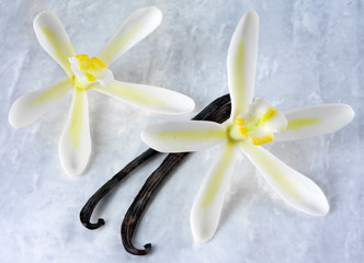 TWO VANILLA FLOWERS AND PODS