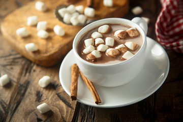 Fototapeta na wymiar Hot chocolate with marshmallow and cinnamon