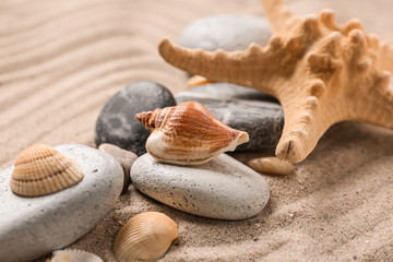 Fototapeta na wymiar Different sea shells with stones and starfish on sand