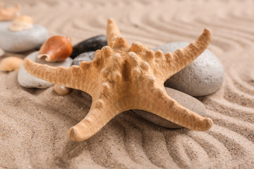 Fototapeta na wymiar Starfish with stones on sand