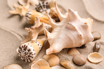 Different sea shells on sand