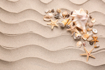 Fototapeta na wymiar Different sea shells and starfishes on sand