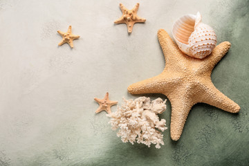 Starfishes with sea shell and coral on color background