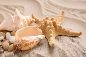 Fototapeta na wymiar Different sea shells with starfish on sand