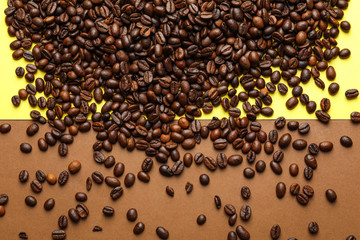 Coffee beans on color background