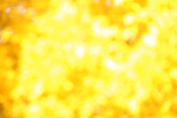 Blurred view of tree on sunny autumn day