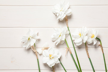 daffodilis