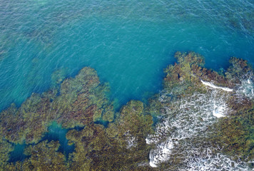 Coral Reef aerial view,  Dominica, Caribbean