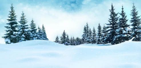 Fotobehang Prachtig winterlandschap met besneeuwde bomen. Kerst achtergrond © Lilya