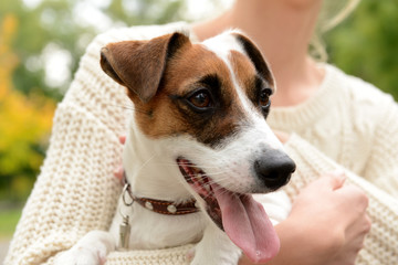 Woman with cute funny dog outdoors, closeup