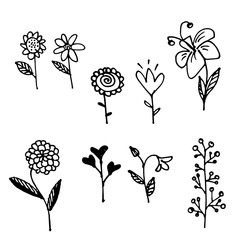 Vector flowers illustration, hand drawn floral collection on white background