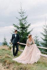 Beautifull wedding couple kissing and embracing near the shore of a mountain river with stones