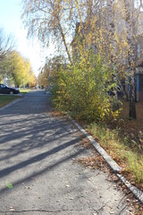 road in autumn