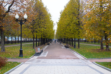 alley in the park