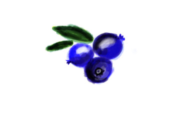 Blueberries with leaves isolated on white background.