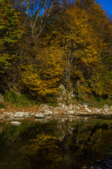 rzeka jesienią 