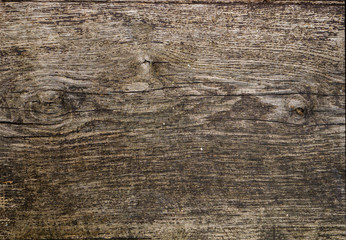 Fototapeta premium Texture of an old wooden wall. Background