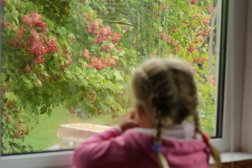 child at the window, followed by a rain