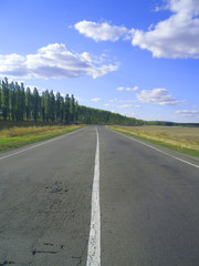 white dividing strip along the road