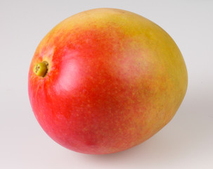 SINGLE MANGO