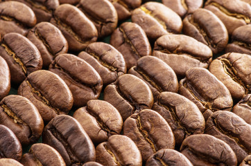 Coffee beans background