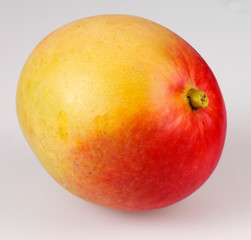 SINGLE MANGO