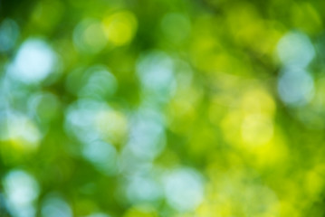 Natural blurred background.