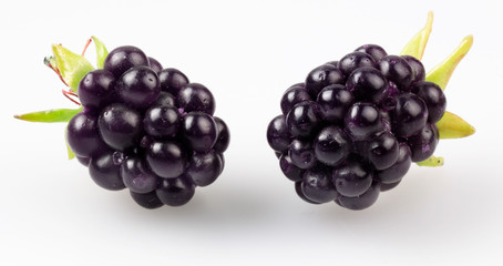 BLACKBERRIES
