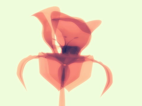 Orange pink flower macro on white, x-ray semi transparent, model, art and science, 3D rendering image