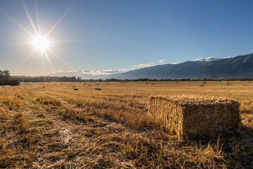 Bales of straw during a sunset