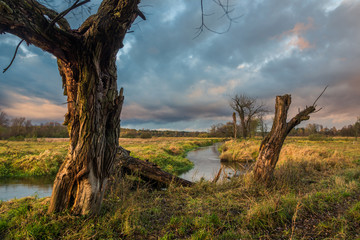 Landscape with Jeziorka river at clody day near Piaseczno, Masovia, Poland