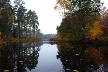 Fototapeta na wymiar Nature of Sweden in autumn, Forest reflecting in calm lake water