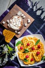 waffles and hot chocolate with marshmallows