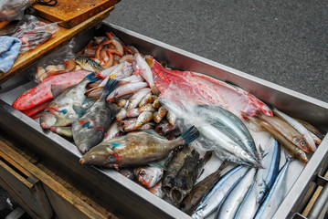 魚の路上販売　新鮮　文化　