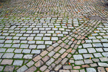 Fototapeta premium Pavement road with cobblestones and moss, traversed diagonally