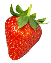 SINGLE STRAWBERRY ON WHITE