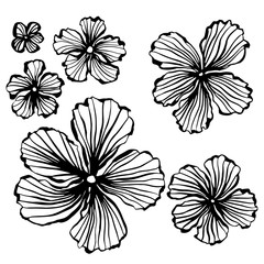 Hand drawn flowers elements. Floral background. Print for pillow, t-shirt, greeting or inviting card, template for cover