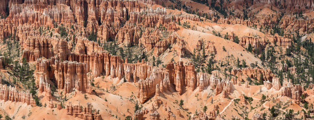 landscape on the bryce canyon in the united states of america