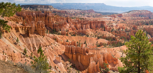landscape on the bryce canyon in the united states of america