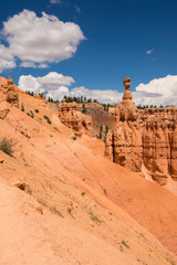 landscape on the bryce canyon in the united states of america