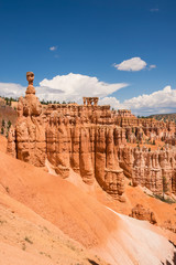 landscape on the bryce canyon in the united states of america