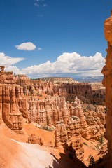 landscape on the bryce canyon in the united states of america