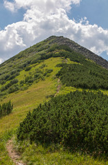 Ridge and Mount Syvulya, Gorgan, Ukraine. Carpathians, the region of Central Gorgany, Mount Sivulya (1836 m) is the highest peak of the Gorgan