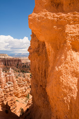 landscape on the bryce canyon in the united states of america