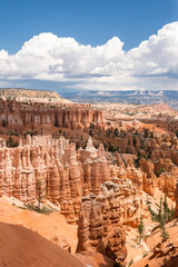 landscape on the bryce canyon in the united states of america